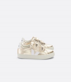 Veja Go To Seamless Fitted Kids | IUSY94037
