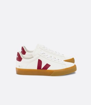 Veja Timeless High Waisted Women | RWAK23910