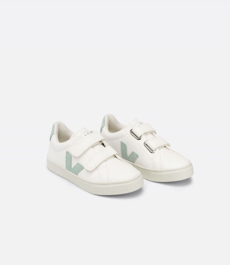 Veja Classic Lifters Graphic Oversized Lightweight Kids | DJFX40857