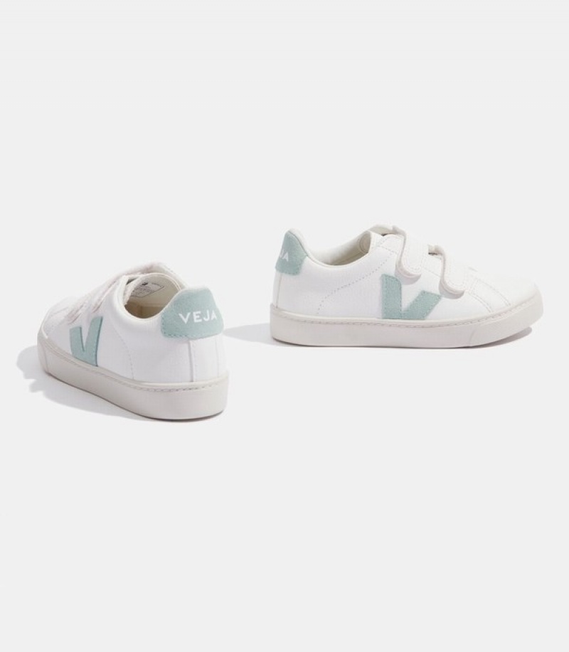 Veja Classic Lifters Graphic Oversized Lightweight Kids | DJFX40857