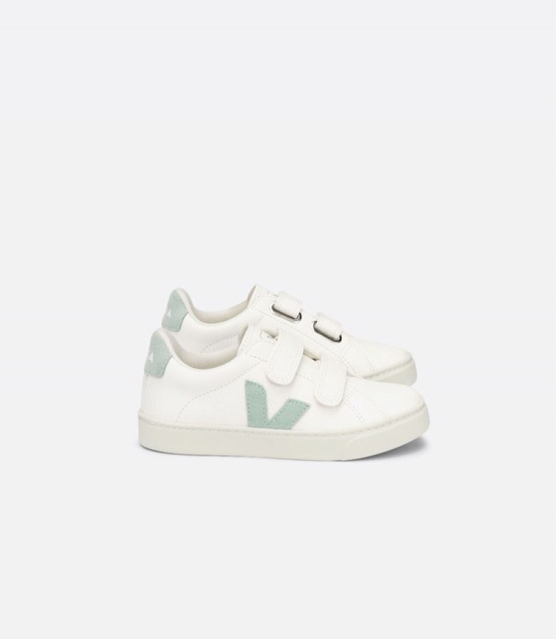 Veja Classic Lifters Graphic Oversized Lightweight Kids | DJFX40857