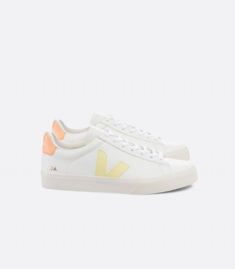 Veja Effortless Seamless Men | ITUO80679