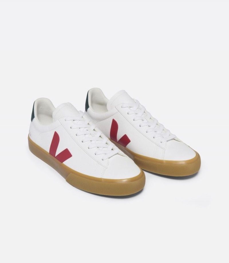 Veja Effortless Seamless Men | TUJA02613