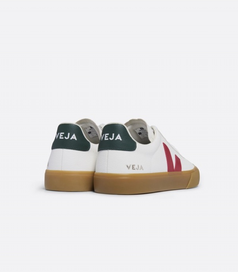 Veja Effortless Seamless Men | TUJA02613