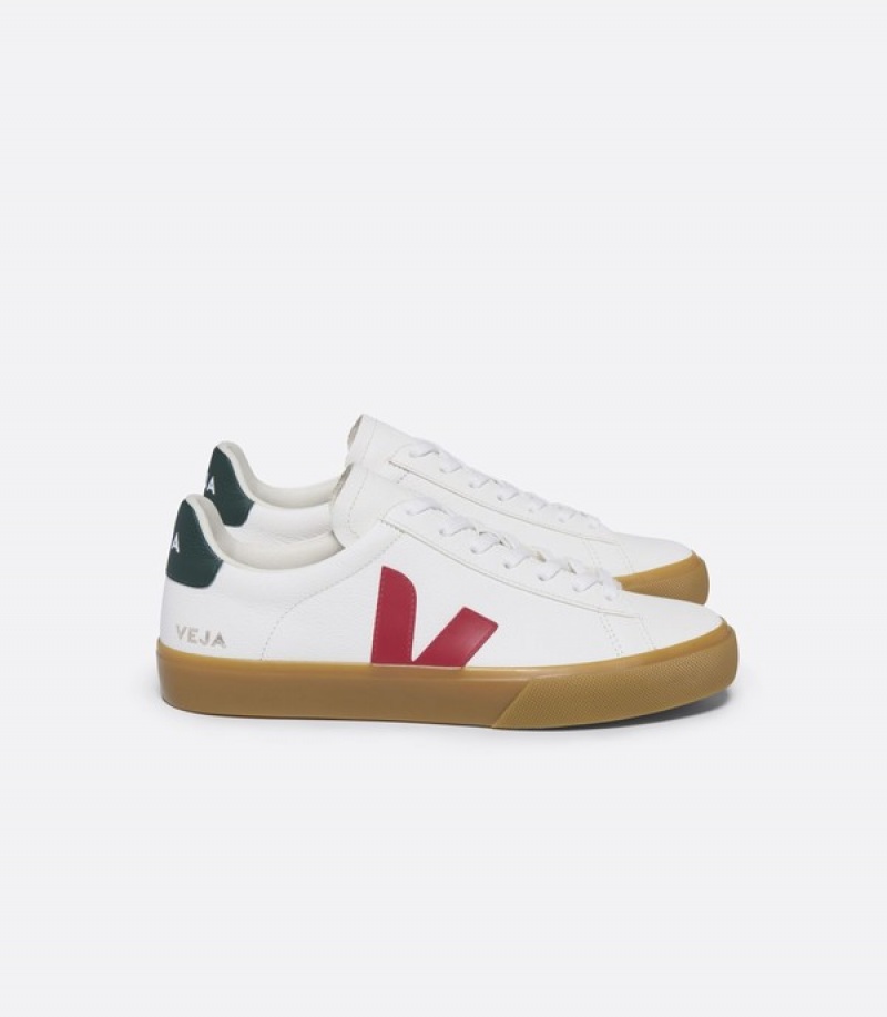 Veja Effortless Seamless Men | TUJA02613