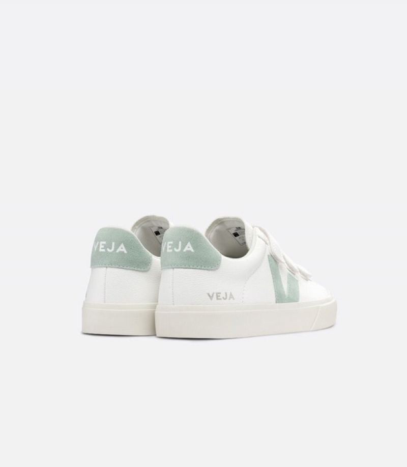 Veja Foundations Crop Men | XJGK25370