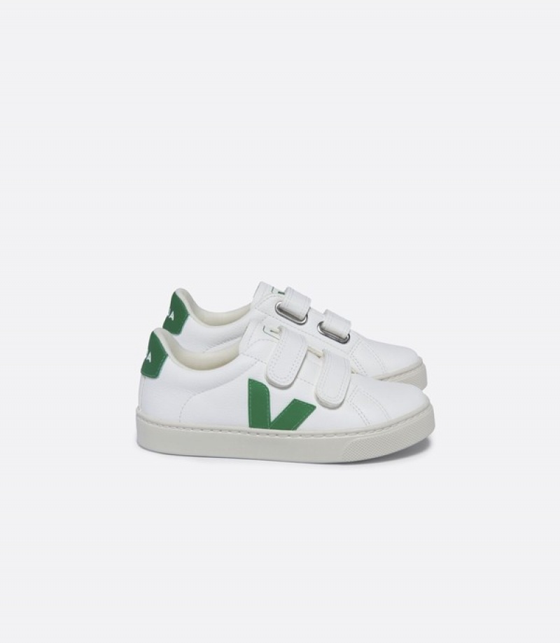 Veja Raising The Bar Graphic Muscle Crop Kids | ZEHX91827